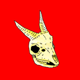skull